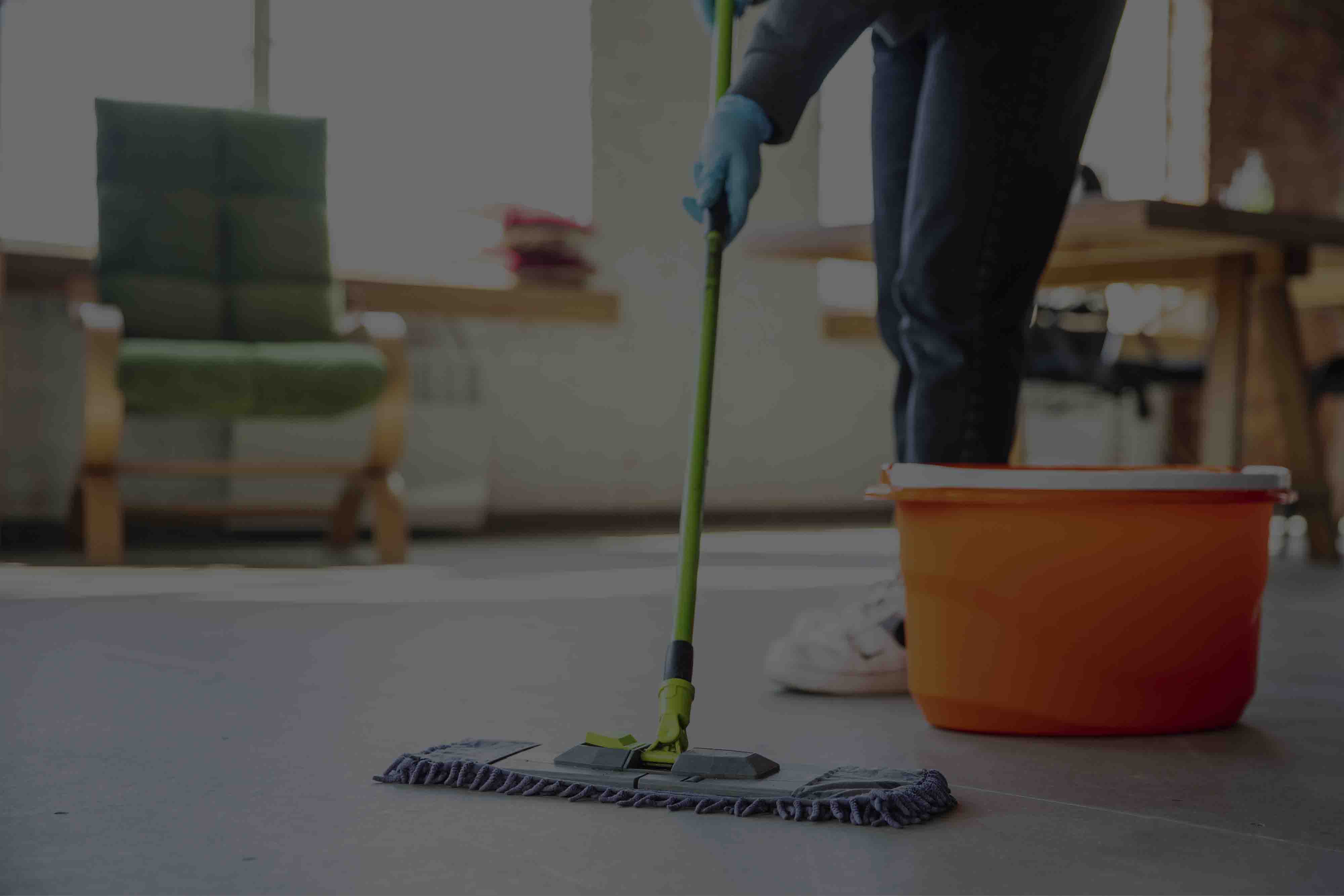 domestic cleaning image